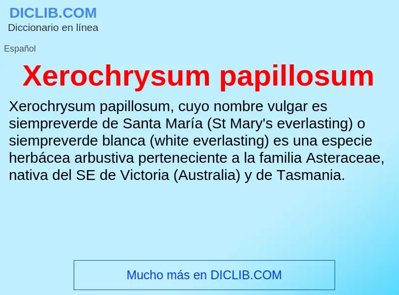 Τι είναι Xerochrysum papillosum - ορισμός