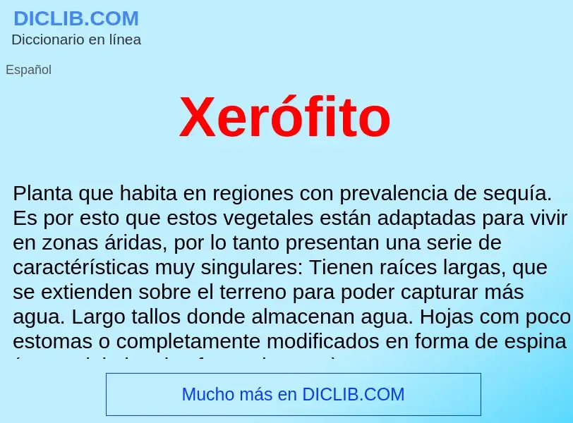 ¿Qué es Xerófito ? - significado y definición