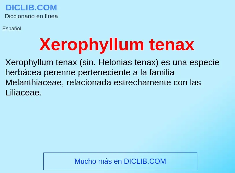 Τι είναι Xerophyllum tenax - ορισμός