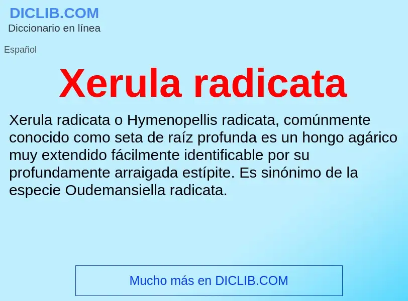 ¿Qué es Xerula radicata? - significado y definición