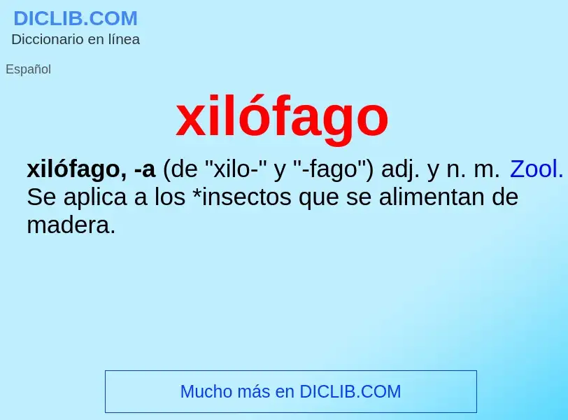 ¿Qué es xilófago? - significado y definición