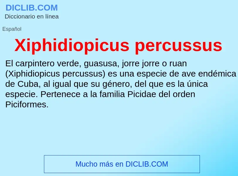 ¿Qué es Xiphidiopicus percussus? - significado y definición