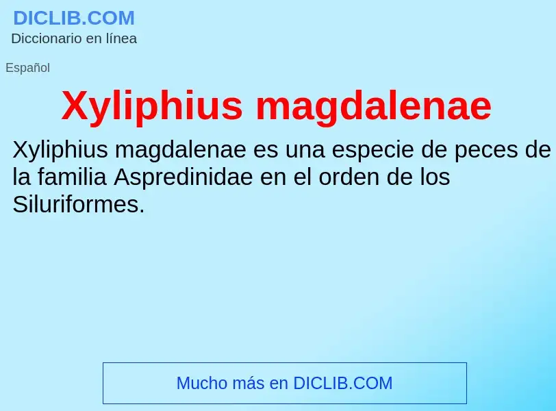 Что такое Xyliphius magdalenae - определение