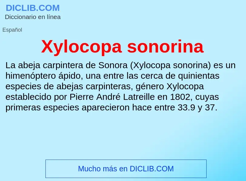 Что такое Xylocopa sonorina - определение