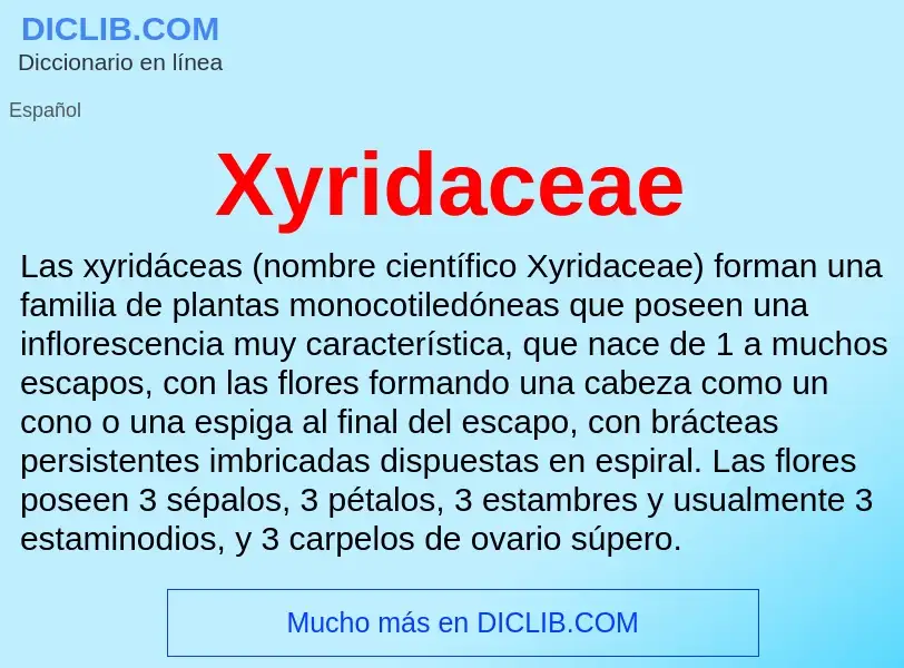 Что такое Xyridaceae - определение