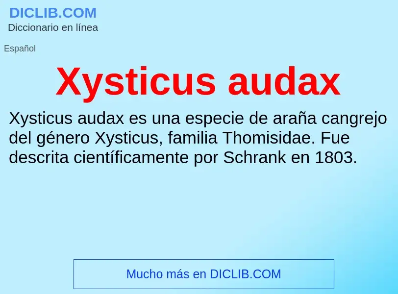 What is Xysticus audax - definition