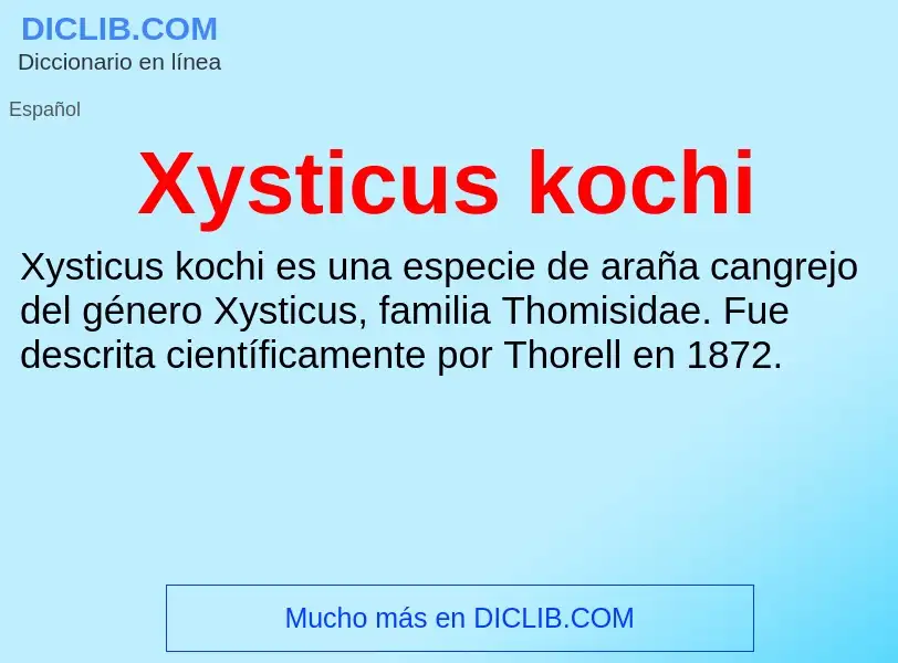 What is Xysticus kochi - meaning and definition