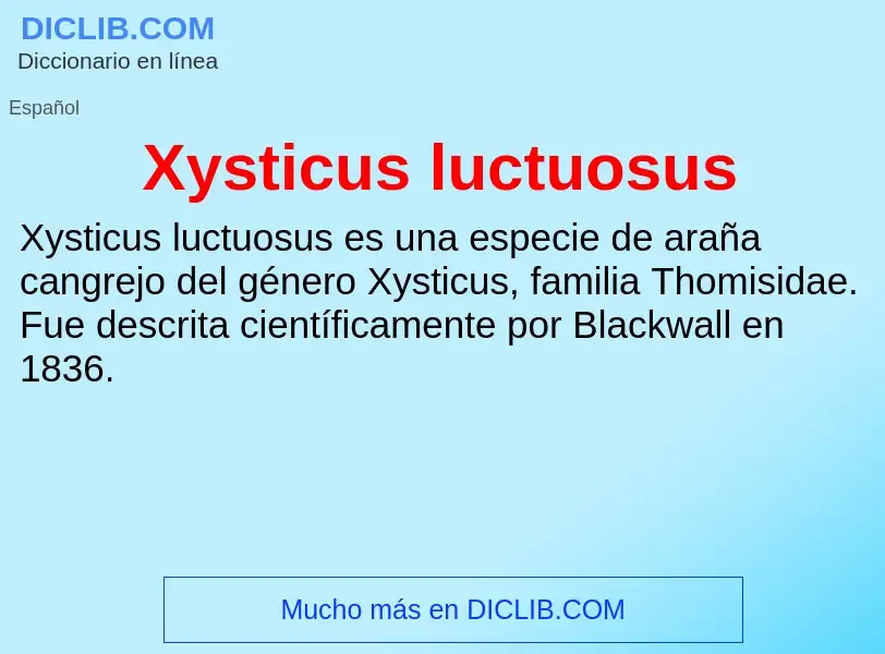 Che cos'è Xysticus luctuosus - definizione