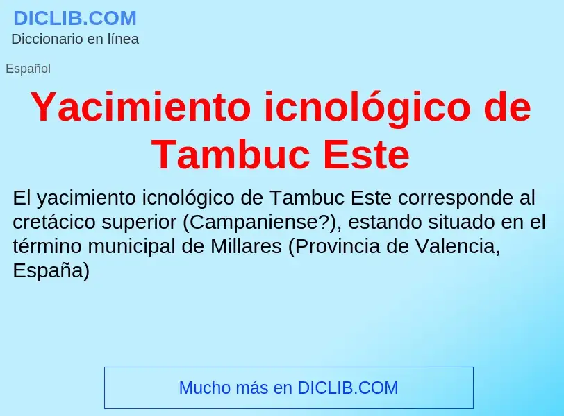 O que é Yacimiento icnológico de Tambuc Este - definição, significado, conceito