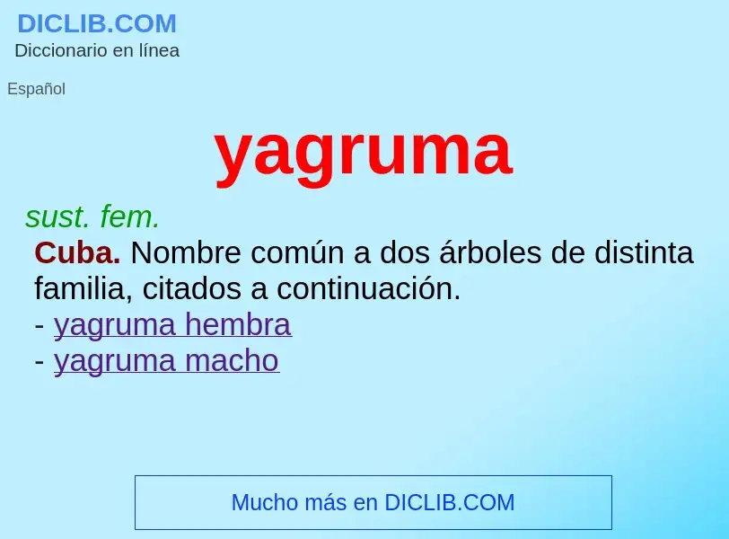 What is yagruma - definition