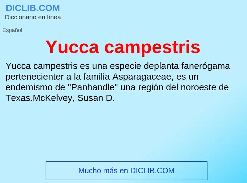 What is Yucca campestris - meaning and definition