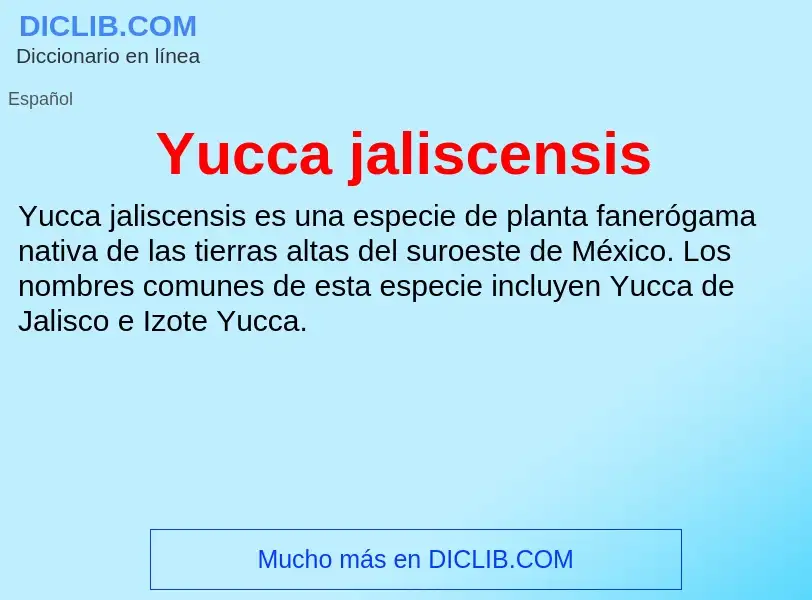 What is Yucca jaliscensis - meaning and definition