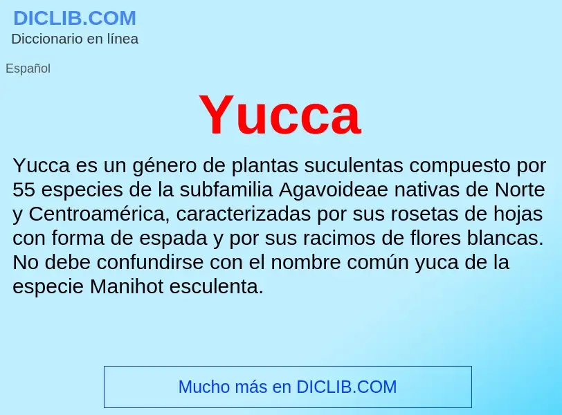 ¿Qué es Yucca? - significado y definición