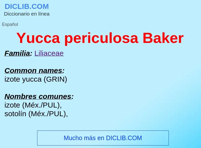 What is Yucca periculosa Baker - meaning and definition