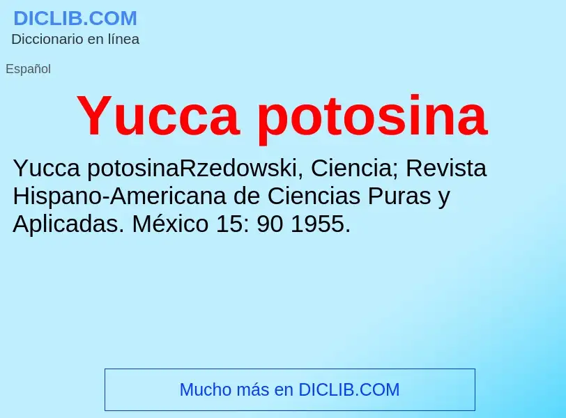 What is Yucca potosina - meaning and definition