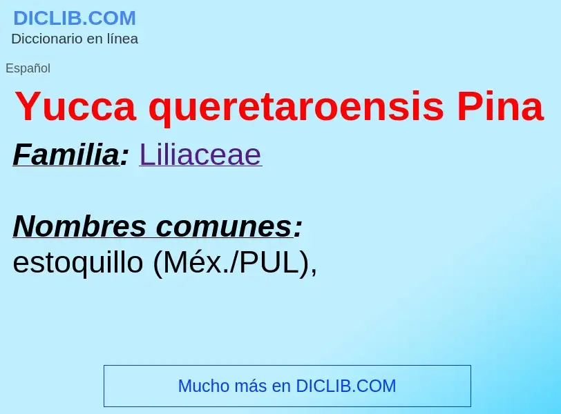 What is Yucca queretaroensis Pina - meaning and definition