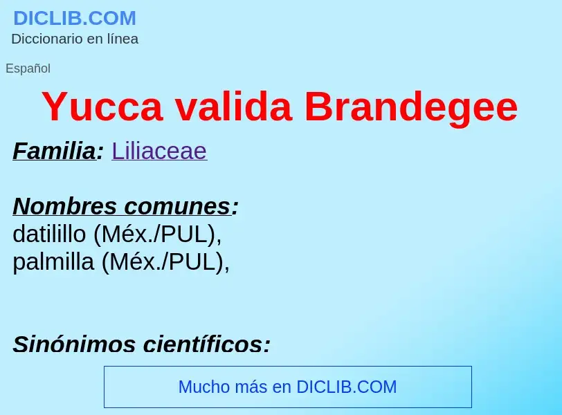 What is Yucca valida Brandegee - meaning and definition