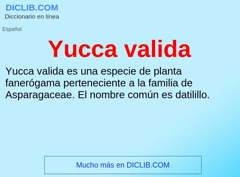 What is Yucca valida - meaning and definition