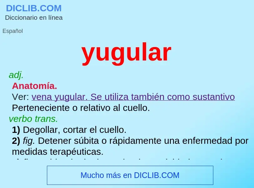 ¿Qué es yugular? - significado y definición