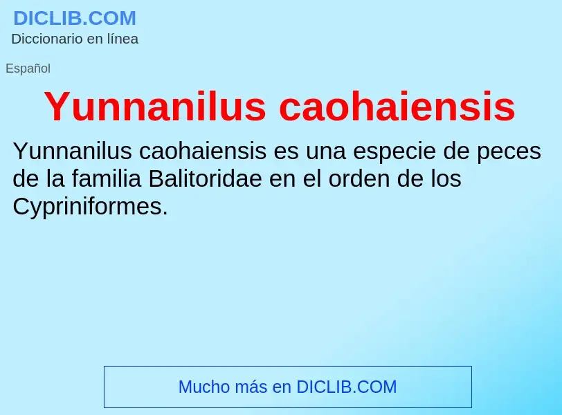 What is Yunnanilus caohaiensis - meaning and definition