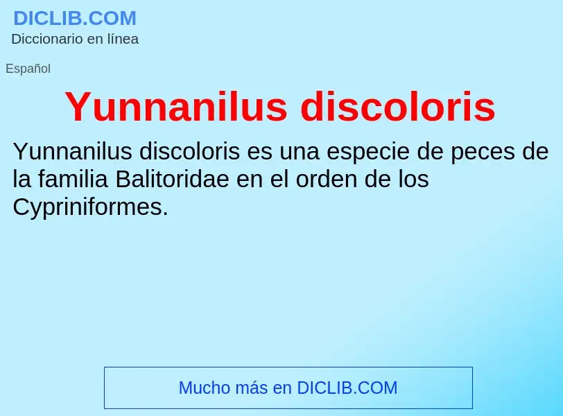 What is Yunnanilus discoloris - meaning and definition