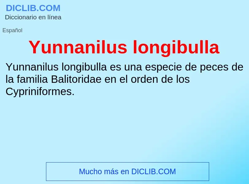 What is Yunnanilus longibulla - meaning and definition