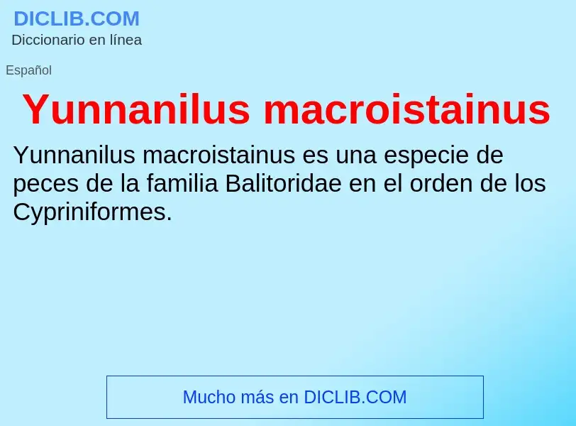 What is Yunnanilus macroistainus - meaning and definition