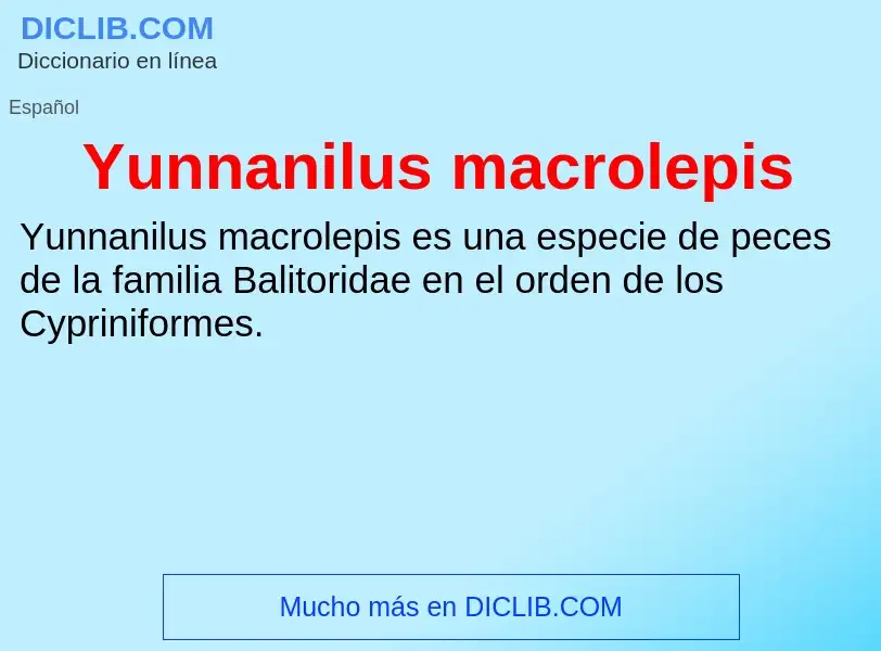 What is Yunnanilus macrolepis - meaning and definition