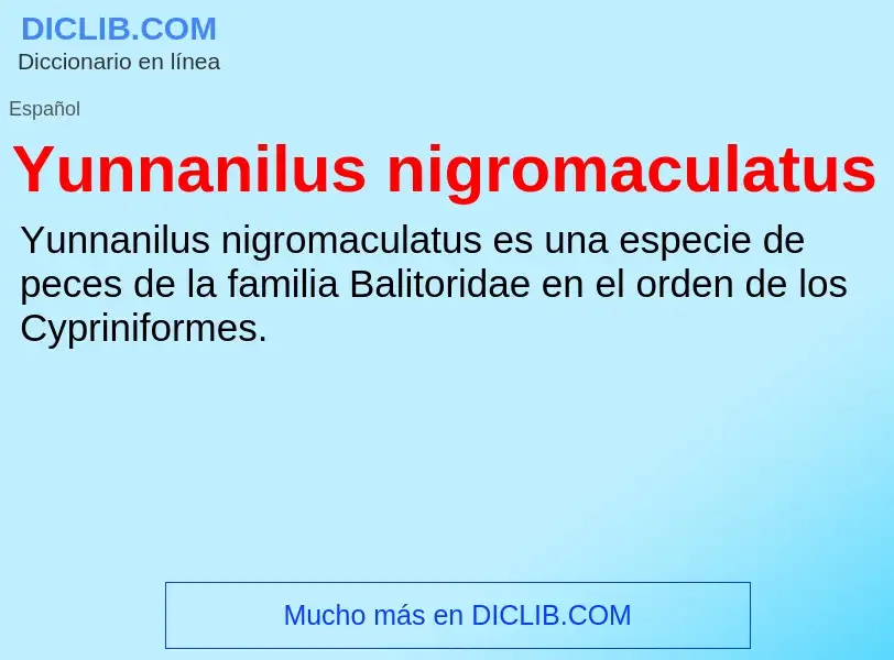 What is Yunnanilus nigromaculatus - meaning and definition