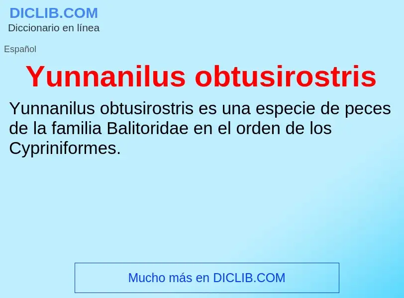 What is Yunnanilus obtusirostris - meaning and definition