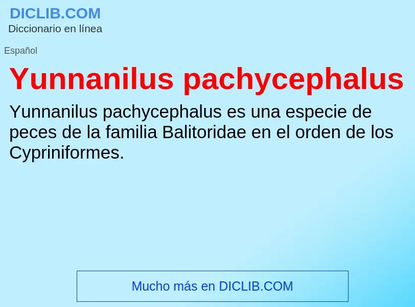 What is Yunnanilus pachycephalus - meaning and definition