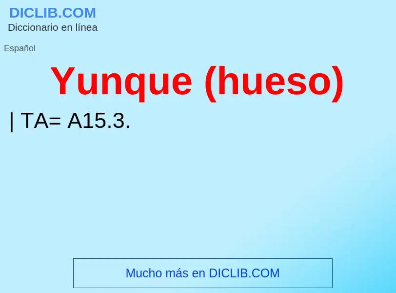 What is Yunque (hueso) - meaning and definition