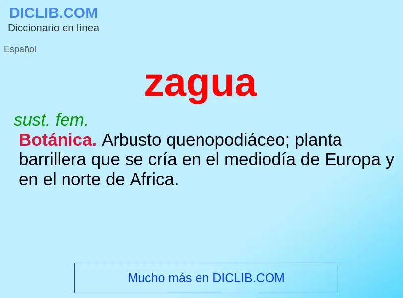 What is zagua - definition