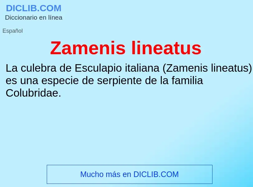 Что такое Zamenis lineatus - определение