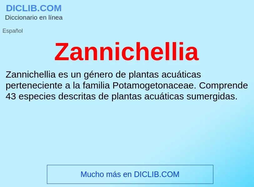 Что такое Zannichellia - определение