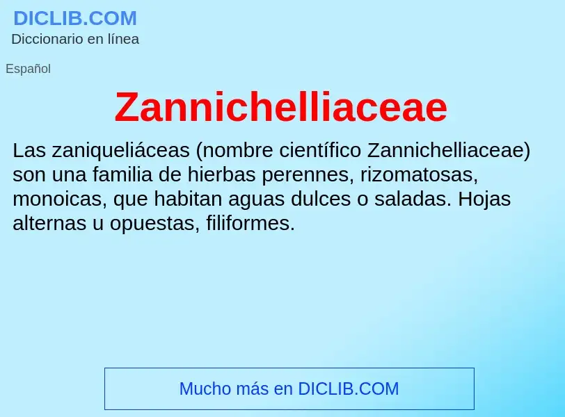 ¿Qué es Zannichelliaceae? - significado y definición