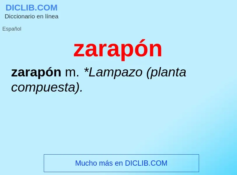 O que é zarapón - definição, significado, conceito