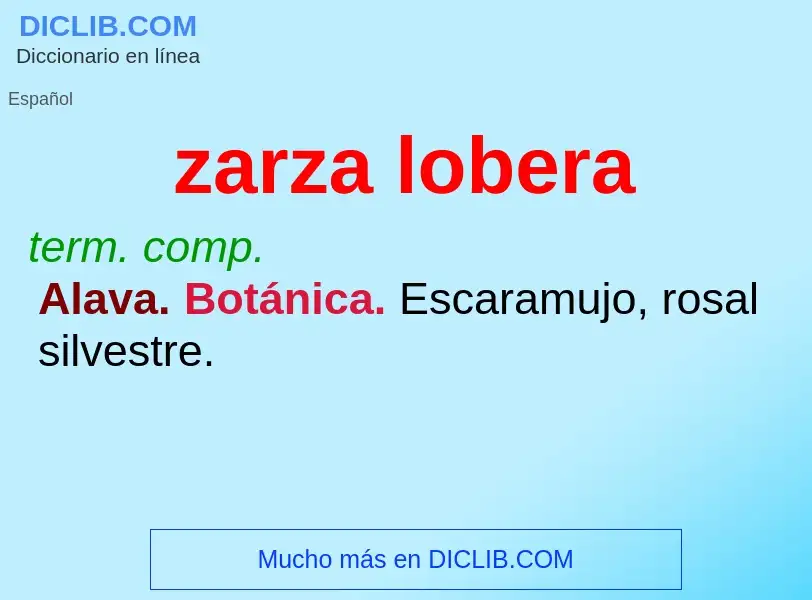 Wat is zarza lobera - definition