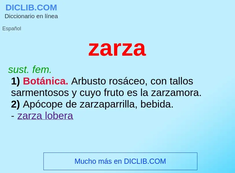 What is zarza - meaning and definition