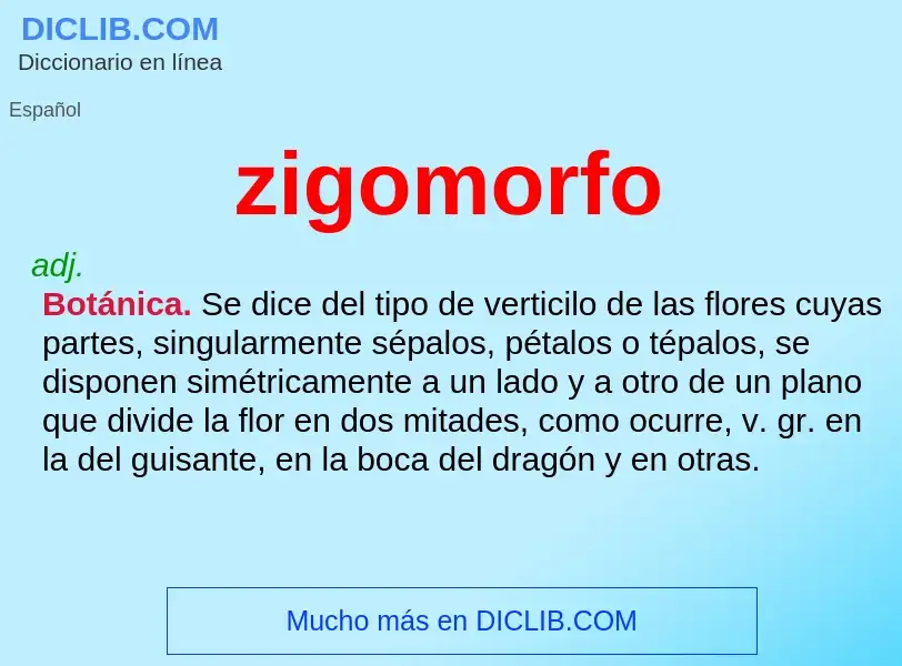 O que é zigomorfo - definição, significado, conceito