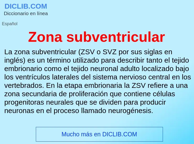 Что такое Zona subventricular - определение