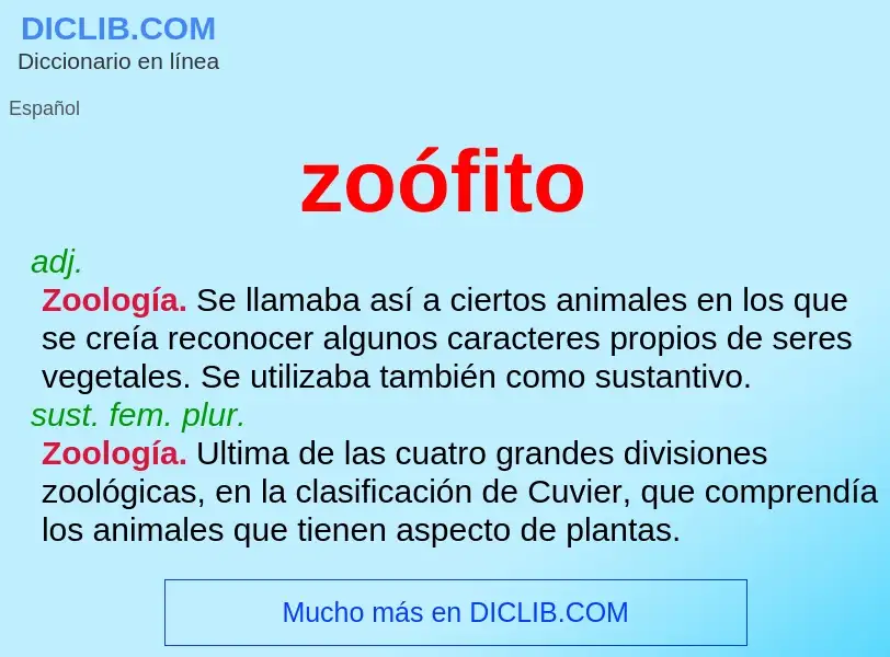 O que é zoófito - definição, significado, conceito