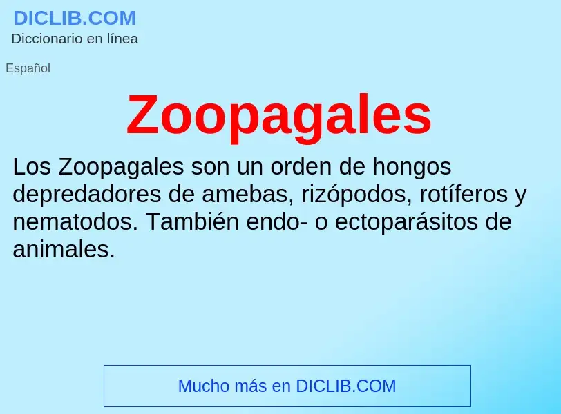 Что такое Zoopagales - определение