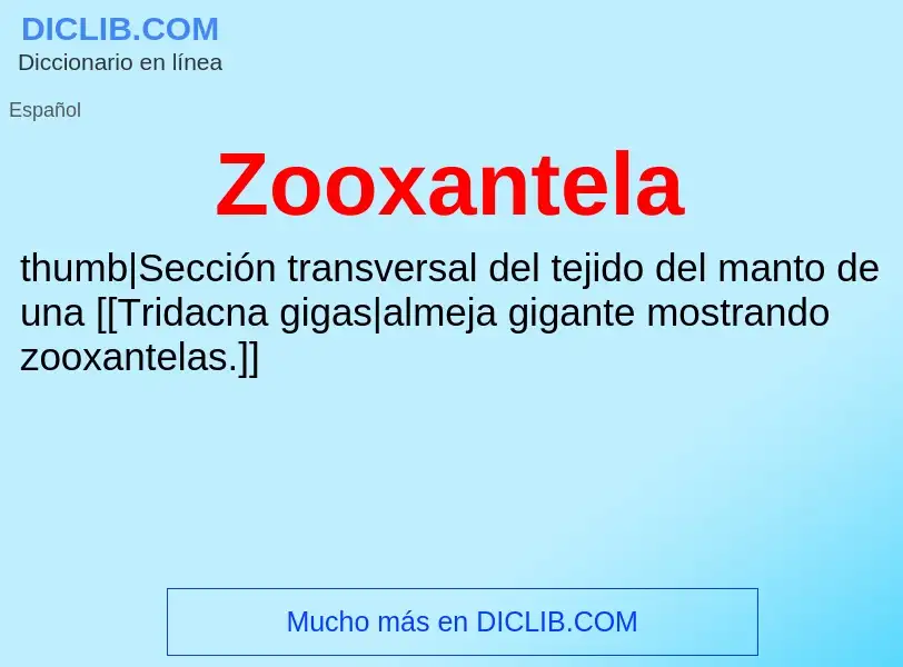 Что такое Zooxantela - определение