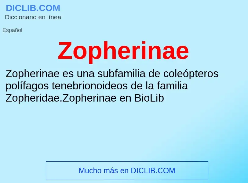 Что такое Zopherinae - определение