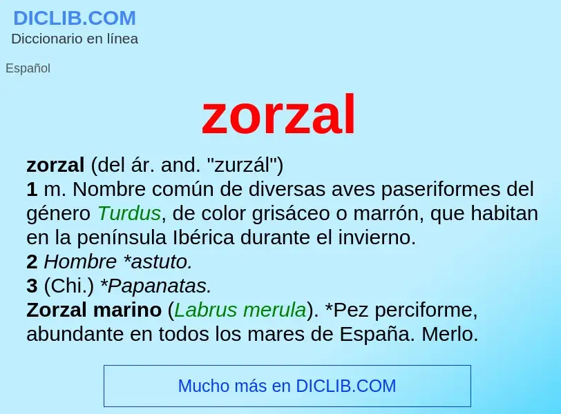 ¿Qué es zorzal? - significado y definición