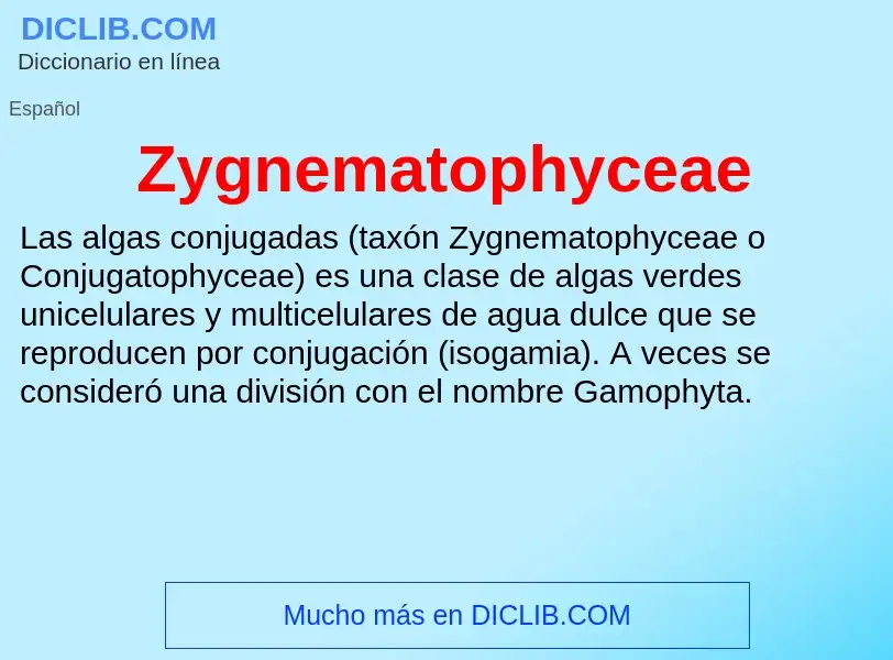 ¿Qué es Zygnematophyceae? - significado y definición