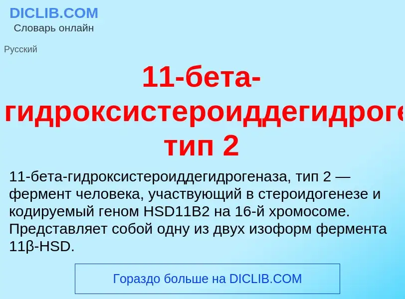 Что такое 11-бета-гидроксистероиддегидрогеназа, тип 2 - определение