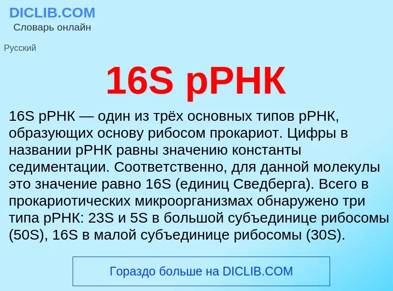 Что такое 16S рРНК - определение