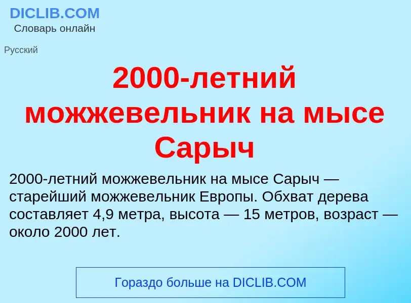 Что такое 2000-летний можжевельник на мысе Сарыч - определение